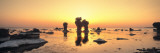 Silhouette of Rocks on the Beach, Faro, Gotland, Sweden Wall Decal by Panoramic Images 