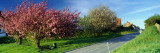 Road Passing Through a Village, Muston Village, North Yorkshire, England, United Kingdom Wall Decal by Panoramic Images 
