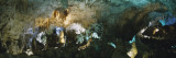 Ceiling of a Cave, Hall of Giants, Carlsbad Caverns National Park, Carlsbad, New Mexico, USA Wall Decal by Panoramic Images 