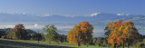 Pear Trees in the Swiss Midlands, Reusstal, Switzerland Wall Decal by Panoramic Images 