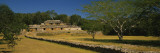Trees in the Garden of a Ruined Palace, el Palacio, Labna, Mexico Vinilos decorativos por Panoramic Images