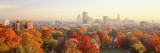 Autumn Trees in a City, Hartford, Connecticut, USA Wall Decal by Panoramic Images 