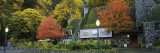 Trees at a Tourist Resort, Multnomah Falls, Columbia River Gorge National Scenic Area, Oregon, USA Wall Decal by Panoramic Images 