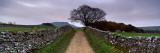 Stone Walls Along a Path, Yorkshire Dales, England, United Kingdom Wall Decal by Panoramic Images 