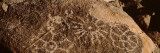 Petroglyphs on a Rock, Saguaro National Park, Tucson, Arizona, USA Wall Decal by Panoramic Images 