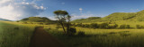 Dirt Road Running through a Landscape, South Africa Vinilos decorativos por Panoramic Images Dirt Road Running through a Landscape, South Africa Vinilos decorativos por Panoramic Images