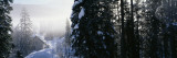 Snowcapped Lodge in the Forest, Yoho National Park, British Columbia, Canada Wall Decal by Panoramic Images 