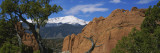 Trees in Front of a Rock Formation, Pikes Peak, Garden of the Gods, Colorado Springs, Colorado, USA Wall Decal by Panoramic Images 