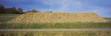 Heap of Sugar Beets in a Field, Stuttgart, Baden-Wurttemberg, Germany Wall Decal by Panoramic Images 
