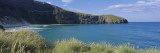 Tall Grass at the Coast, Otago Peninsula, Gisborne, South Island New Zealand, New Zealand Vinilos decorativos por Panoramic Images