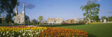 Tulip Flowers in a Garden, Ottawa, Ontario, Canada Vinilos decorativos por Panoramic Images