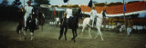 Three Men on Horseback Riding in Front of Spectators, India Wall Decal by Panoramic Images 