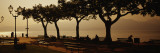 Benches in a Park, Torri del Benaco, Lake Garda, Italy Wall Decal by Panoramic Images 