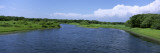 Cloud over a River, Myakka River State Park, Sarasota, Florida, USA Wall Decal by Panoramic Images 