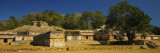 Tree in the Courtyard of a Ruined Palace, el Palacio, Labna, Mexico Vinilos decorativos por Panoramic Images