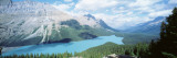 Lake, Peyto Kale, Banff National Park, Canada Wall Decal by Panoramic Images 