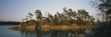Pine Trees on an Island, Backa, Gothenburg, Hisingen, Bohuslan, Sweden Wall Decal by Panoramic Images 
