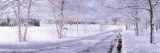 Snow Covered Road, Michigan, USA Vinilos decorativos por Panoramic Images