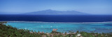 Aerial View of Trees Along a Coast, Tahiti, French Polynesia Wall Decal by Panoramic Images 
