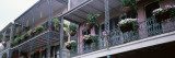 Potted Plants Hanging from Balconies, French Quarter, New Orleans, Louisiana, USA Wall Decal by Panoramic Images 