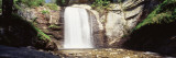 Waterfall in the Forest, Pisgah National Forest, Brevard, North Carolina, USA Wall Decal by Panoramic Images