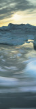 Icebergs in a Sea, Disko Bay, Greenland Wall Decal by Panoramic Images 