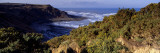 High Angle View of Trees on a Cliff, Port Mulgrave, North Yorkshire, England, United Kingdom Wall Decal by Panoramic Images 