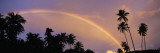 Rainbow Between Palm Trees at Dusk, French Polynesia Wall Decal by Panoramic Images 