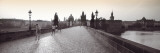 Tourist Walking on a Bridge, Charles Bridge, Prague, Czech Republic Wall Decal by Panoramic Images 