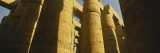 Columns in a Temple, Temples of Karnak, Luxor, Egypt Wall Decal by Panoramic Images 