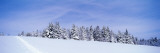 Winter Hillside with Ski Tracks, Vermont, USA Vinilos decorativos por Panoramic Images