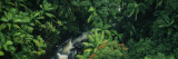 Waterfall in a Rainforest, Hamakua Coast, Hawaii, USA Wall Decal by Panoramic Images 