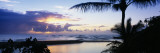 Palm Tree on the Beach, Wailua Bay, Kauai, Hawaii, USA Vinilos decorativos por Panoramic Images Palm Tree on the Beach, Wailua Bay, Kauai, Hawaii, USA Vinilos decorativos por Panoramic Images
