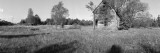 Old House in the Uncultivated Field, North Woods, Wisconsin, USA Vinilos decorativos por Panoramic Images