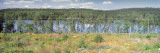 Trees along a Lake, Punkaharju, Finland Wall Decal by Panoramic Images 