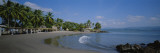 Palm Trees on the Beach, San Blas, Mexico Vinilos decorativos por Panoramic Images