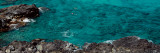 Two People Swimming in the Ocean, Oahu, Hawaii Wall Decal by Panoramic Images 