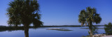 Flock of Flamingos, J.N. Ding Darling National Wildlife Refuge, Sanibel Island, Florida, USA Wall Decal by Panoramic Images 