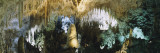 Limestone in a Cave, Carlsbad Caverns National Park, New Mexico, USA Wall Decal by Panoramic Images 