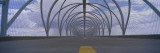 Chain-Link Fence Covering a Bridge, Snake Bridge, Tucson, Arizona, USA Wall Decal by Panoramic Images 