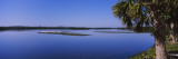 Flock of Flamingos, J.N. Ding Darling National Wildlife Refuge, Sanibel Island, Florida, USA Wall Decal by Panoramic Images 