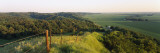 Landscape at a Hillside, Loess Hills, Iowa, USA Wall Decal by Panoramic Images 