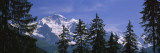 Mountains Covered with Snow, Swiss Alps, Wengen, Bernese Oberland, Switzerland Autocollant mural par Panoramic Images 