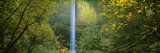 Latourell Falls, Columbia River Gorge National Scenic Area, Oregon, USA Vinilos decorativos por Panoramic Images Latourell Falls, Columbia River Gorge National Scenic Area, Oregon, USA Vinilos decorativos por Panoramic Images