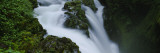 Sol Duc Falls, Olympic National Park, Washington State, USA Vinilos decorativos por Panoramic Images Sol Duc Falls, Olympic National Park, Washington State, USA Vinilos decorativos por Panoramic Images