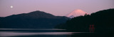Lake Ashinoko, Mt Fuji, Hakone, Kanagawa Prefecture, Japan Wall Decal by Panoramic Images 