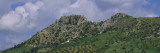 Trees on a Mountain, Zahara de La Sierra, Andalusia, Spain Wall Decal by Panoramic Images 