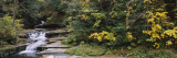 Water Flowing in the Forest, Montour Falls, Havana Glen, New York, USA Vinilos decorativos por Panoramic Images Water Flowing in the Forest, Montour Falls, Havana Glen, New York, USA Vinilos decorativos por Panoramic Images