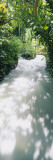 Blue Hole Gardens River, Negril, Jamaica Wall Decal by Panoramic Images 
