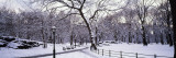 Bare Trees During Winter in Central Park, Manhattan, New York City, New York, USA Wall Decal by Panoramic Images 